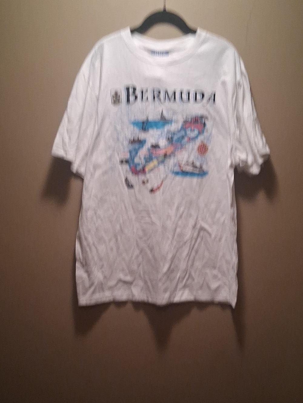 Bermuda Graphic Mens T-Shirt in White Xxl